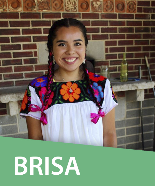 Brisa